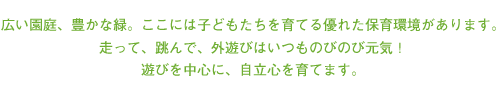 子どもたちを育てる優れた保育環境があります。遊びを中心に、自立心を育てます。